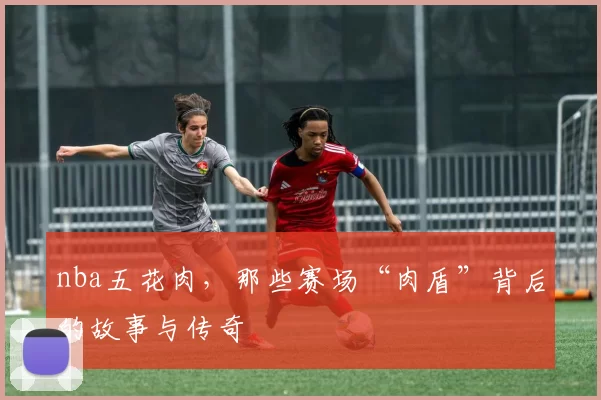nba五花肉，那些赛场“肉盾”背后的故事与传奇