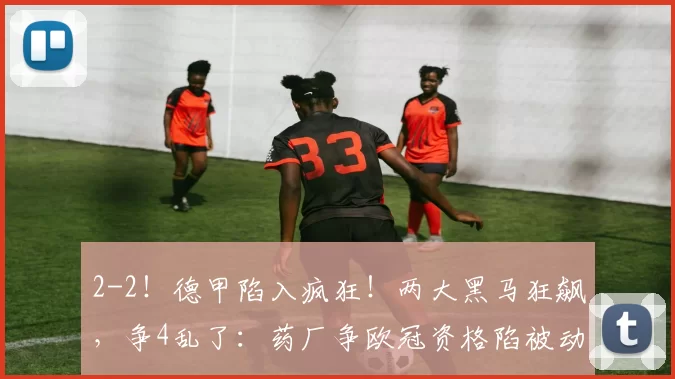 2-2！德甲陷入疯狂！两大黑马狂飙，争4乱了：药厂争欧冠资格陷被动_霍芬_海姆_霍芬海姆