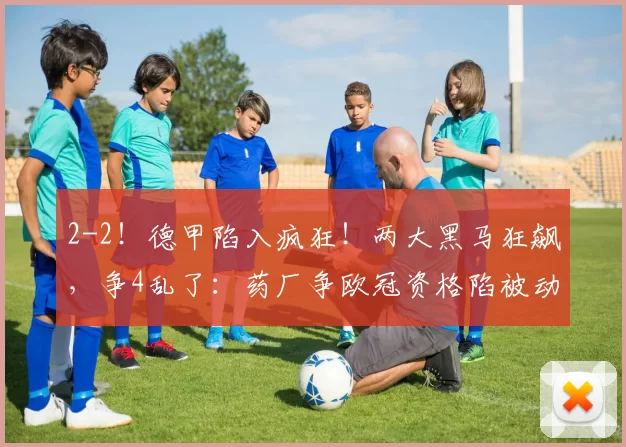 2-2!德甲陷入疯狂!两大黑马狂飙,争4乱了:药厂争欧冠资格陷被动_霍芬_海姆_霍芬海姆