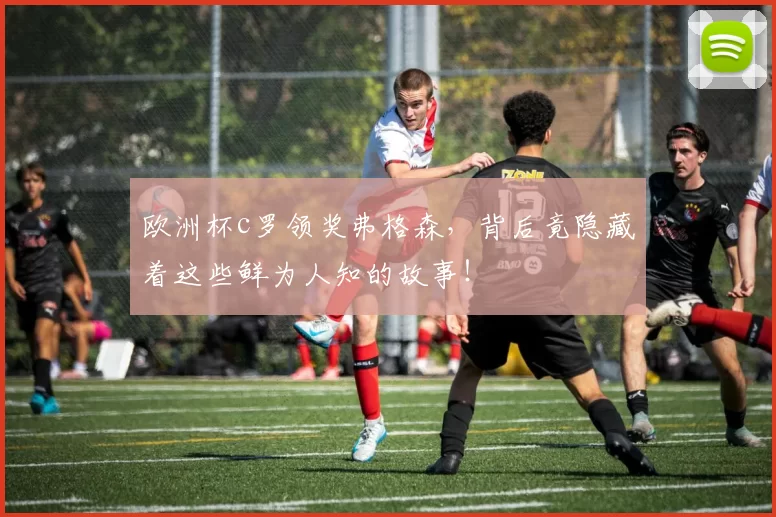 欧洲杯c罗领奖弗格森,背后竟隐藏着这些鲜为人知的故事!