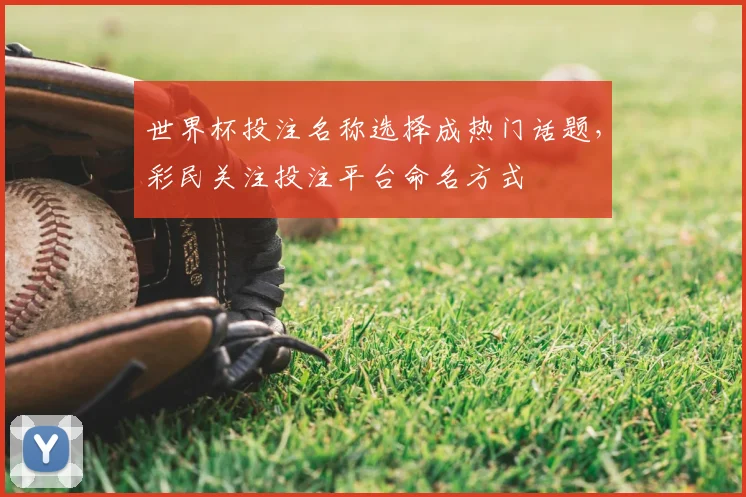 世界杯投注名称选择成热门话题，彩民关注投注平台命名方式