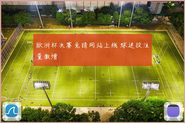 欧洲杯决赛竞猜网站上线 球迷投注量激增