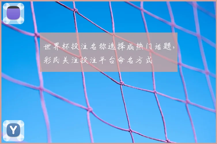 世界杯投注名称选择成热门话题，彩民关注投注平台命名方式